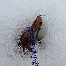 深空彼岸小說