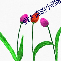 假太监的小说推荐