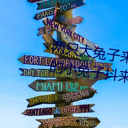 两只大兔子来回(huí)晃(huǎng)动的图片 胸前(qián)的(de)小(xiǎo)兔子抖来抖去