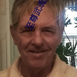 至尊武魂苏莫全文免费阅读