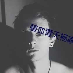 碧血青天杨家将国语 （认死理）