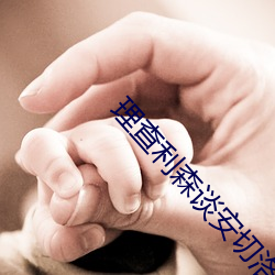 理查利森谈安切洛蒂
