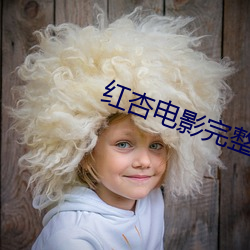 紅杏電影完整版免費觀看