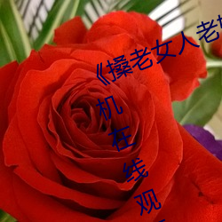 《搡(搡)老女人老妇女老(老)熟女(女)o》清晰手机在线(線)观看