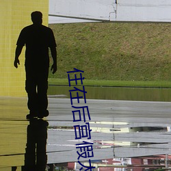 住在后宫假(jiǎ)太