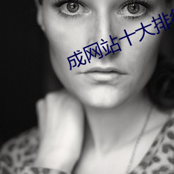 成网站十大排行榜