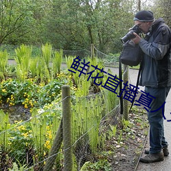 鲜花直播真(zhēn)人秀(xiù)