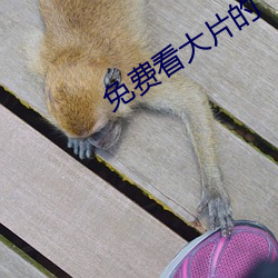 金年会 | 诚信至上金字招牌