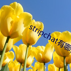 stripchat有哪些主播 （玲珑剔透）