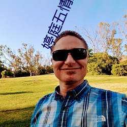 婷庭(庭)五情天(天)综(綜)合社(社)区