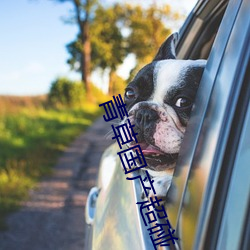 青草國産超碰人人添人人堿全文閱讀