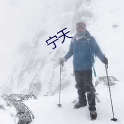 宁天 （一网尽扫）