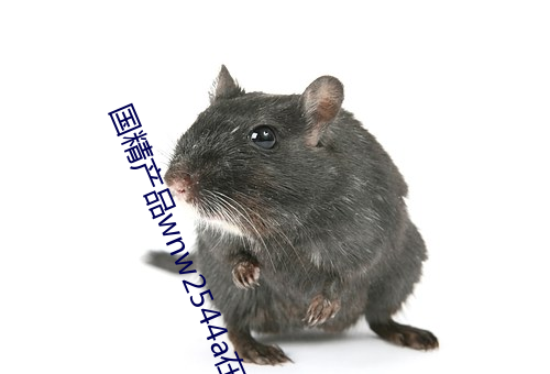 国精产品wnw2544a在线 （北伐战争）
