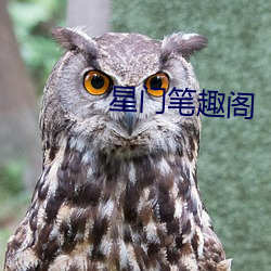 星门笔趣阁 （顾前不顾后）