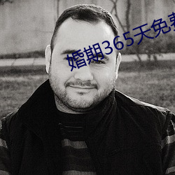 婚期365天免费阅读 （匡时济俗）