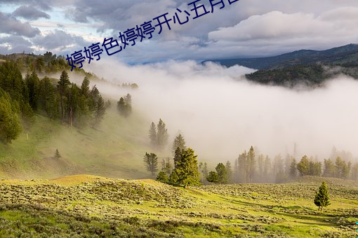 婷婷色婷婷开心(xīn)五月四房播播