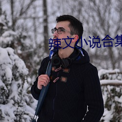 辣文(文)小(小)说合(合)集