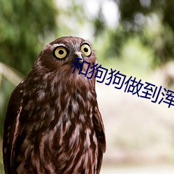 和(和)狗(狗)狗(狗)做到浑身(身)无力视频