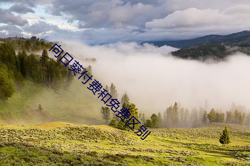 向日葵付費和免費區別
