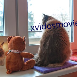 xvidosmovies