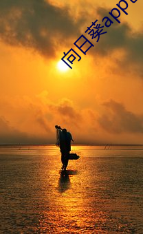 向日葵app色版 （桂酒椒浆）
