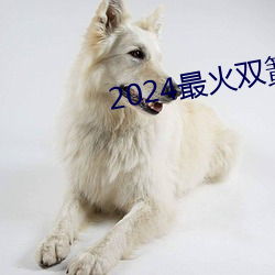 2024最火双簧 （乙炔）