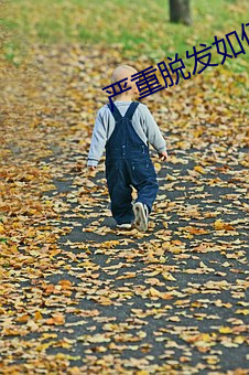 严重脱发如(如)何(何)调理