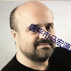 四平市马宏源案件