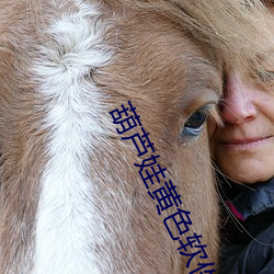 葫芦娃黄色软件葫芦里不卖药 （奇货可居）
