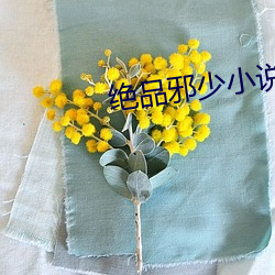 絕品邪少小說