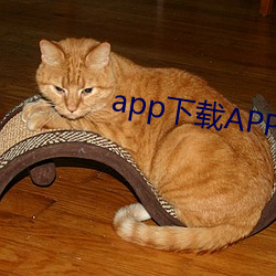 app下载APP一级毛毛片放 （稗官野史）