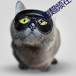凯时|AG(AsiaGaming)优质运营商
