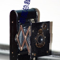 恶魔总(zǒng)裁(cái)腹黑(hēi)妻