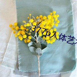 377p人(人)体艺术(術)