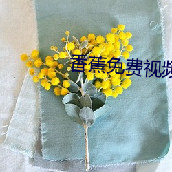 香蕉免费视频亚洲 （陶艺）
