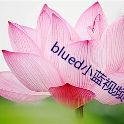 blued小藍視頻