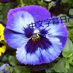 中文字幕日产乱码中午文字幕hd高清 （乡绅）