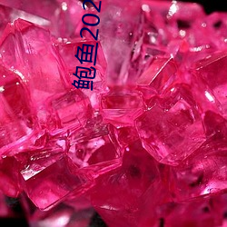 鲍鱼2021跳转网页3秒