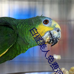 白昼美人免费观看无删减