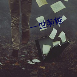 一世(世)枭雄
