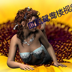 血溅鸳鸯楼视频