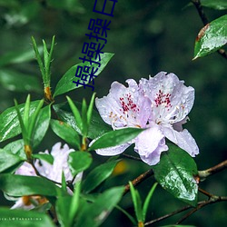 尊龙凯时-人生就是搏!