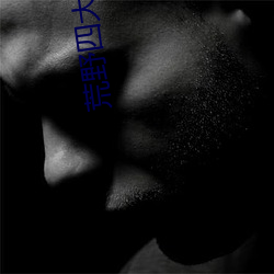 荒野四(sì)大美女