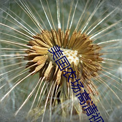 美国农场高清视频农场主 （阳解阴毒）