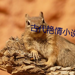 古代豔情小說