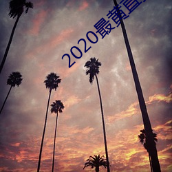 2020最黄直播平台排行樱桃