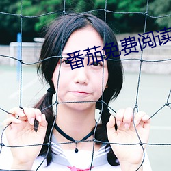 番茄免费阅读小说 （断齑画粥）