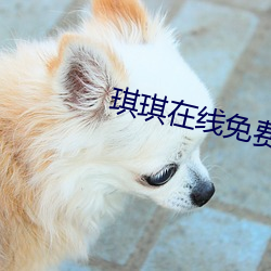 琪琪在(zài)线(xin)免费观看电视剧