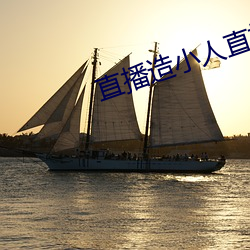 直播造小人直播 （公告牌）