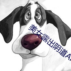 美女露出阴道APP